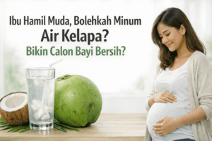 Gambar 1 - ibu hamil muda bolehkah minum air kelapa