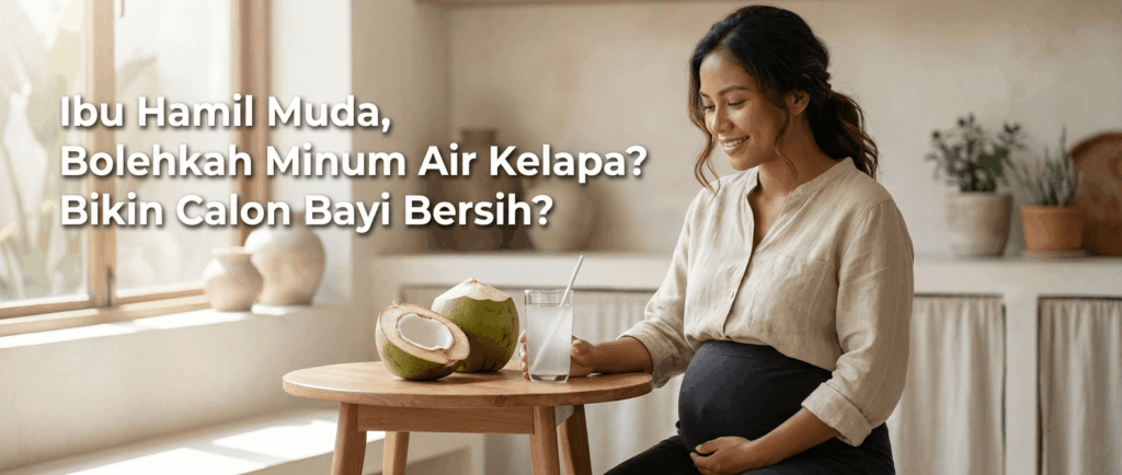 Gambar 2 - ibu hamil muda bolehkah minum air kelapa
