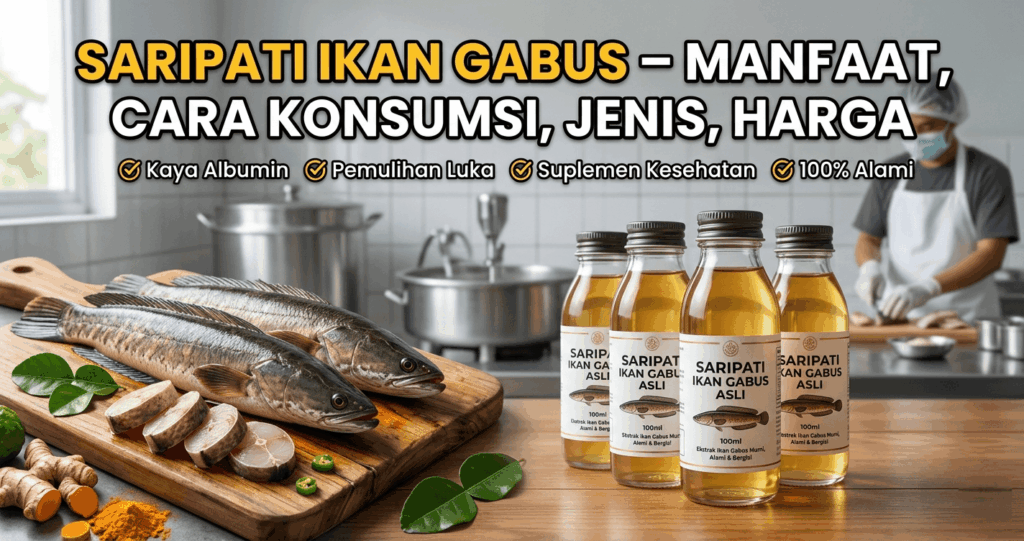 Gambar 2 - saripati ikan gabus